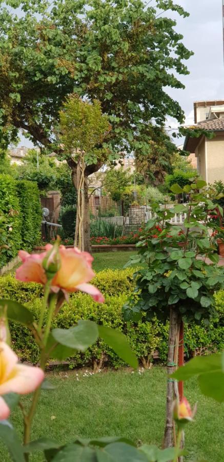 La Casa Di Gigliola Villa Monticiano Exteriör bild