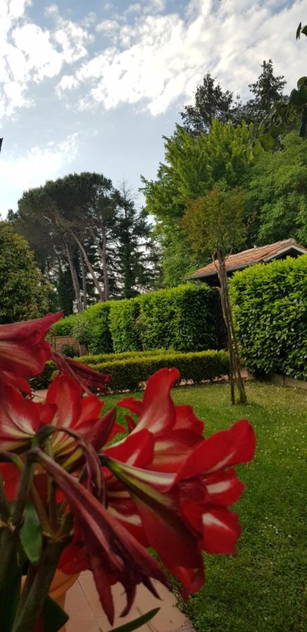 La Casa Di Gigliola Villa Monticiano Exteriör bild