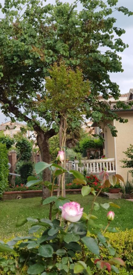 La Casa Di Gigliola Villa Monticiano Exteriör bild