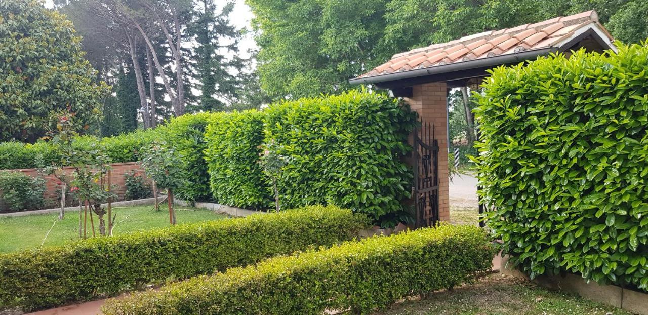 La Casa Di Gigliola Villa Monticiano Exteriör bild
